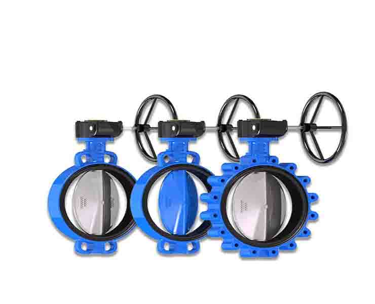 Concentric butterfly valve for wastewater treatment